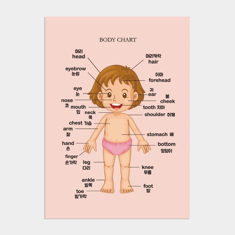 아이방 학습 액자 인테리어 포스터  / 07번 body chart - girl