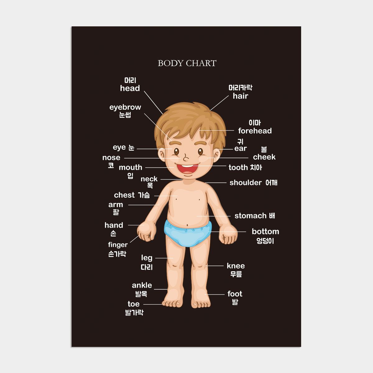 멜팅스튜디오(MELTING STUDIO) 아이방 학습 액자 인테리어 포스터  / 08번 body chart - boy