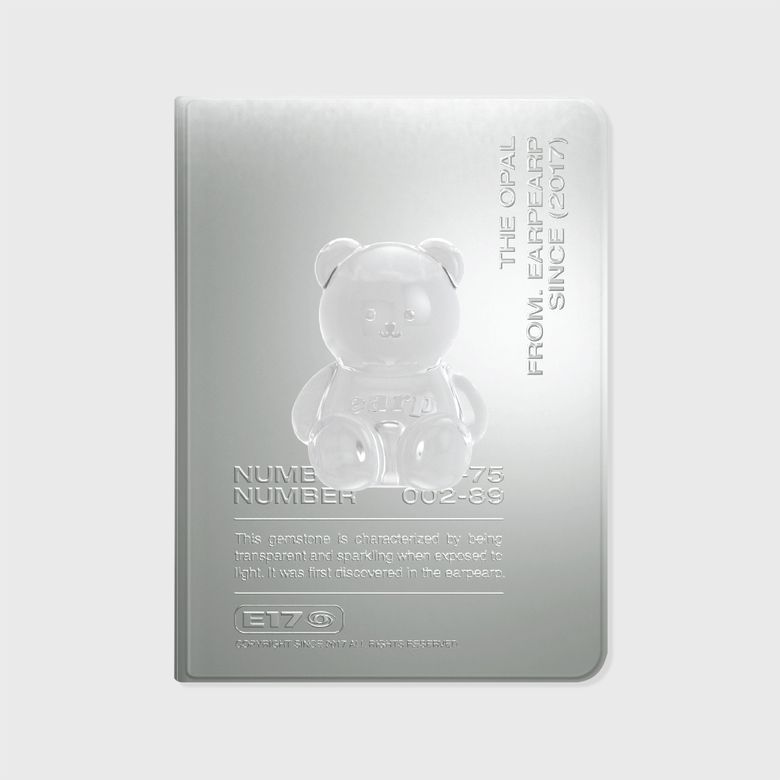 CLEAR LITTLE COVY-GREY(아이패드-커버)