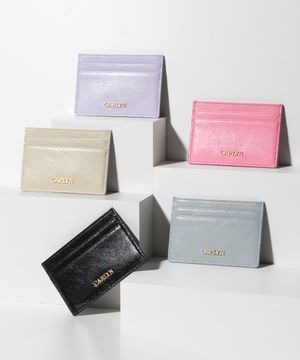 Pave Card Wallet 페이브 카드 지갑 W72103010