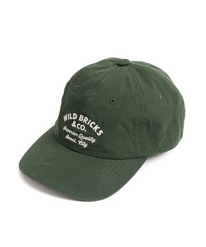 CT CLASSIC LOGO CAP (green)