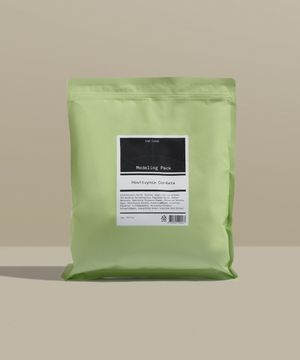 [모공 진정] 어성초 모델링팩 1kg 대용량