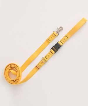 강아지 산책 캔디크레용 리드줄 (6 color)