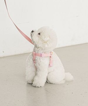 강아지 산책 캔디크레용 하네스 (6 color)