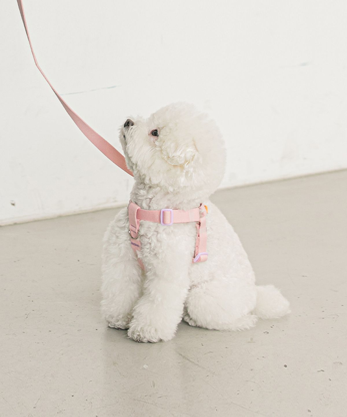 바잇미(BITEME) 강아지 산책 캔디크레용 하네스 (6 color)