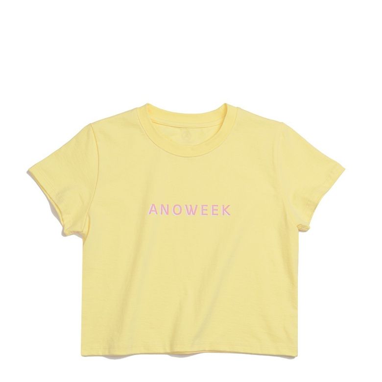 ANW Gradation Logo Crop T
