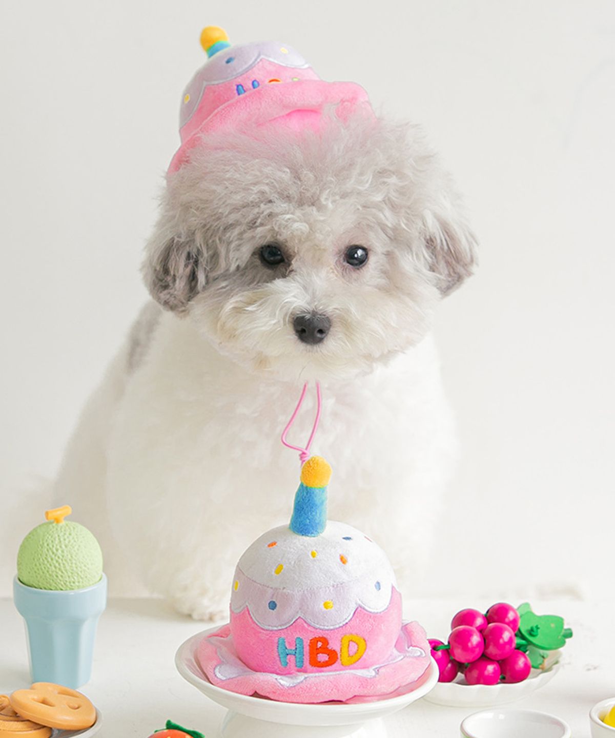 바잇미(BITEME) 강아지 고양이 파티케이크 모자 장난감 생일케이크 (삑삑/바스락)
