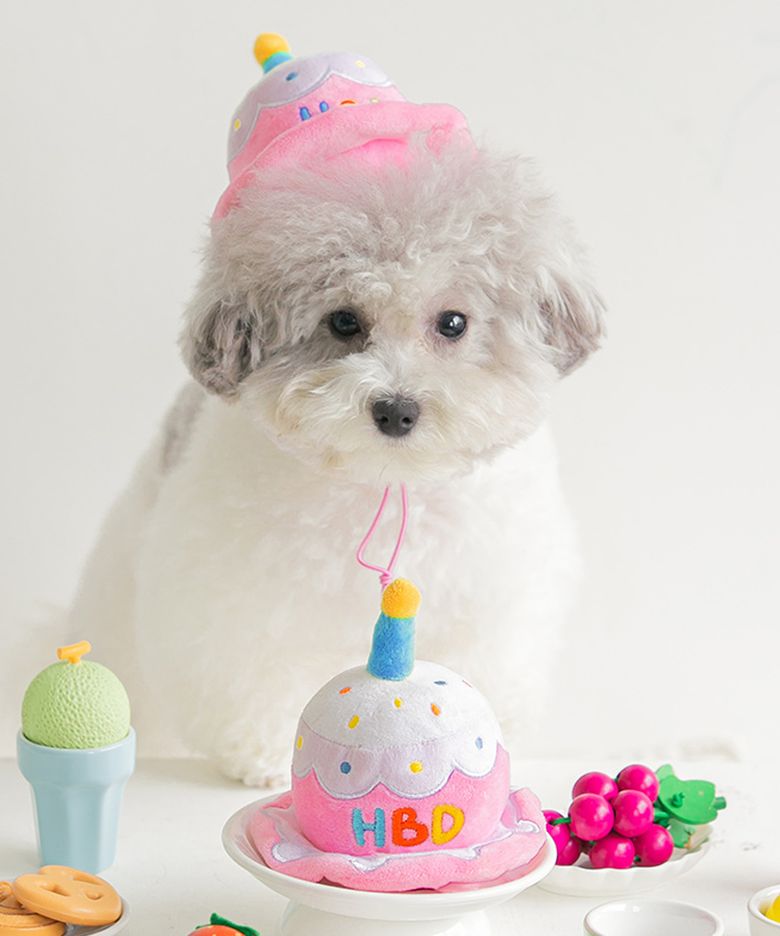 강아지 고양이 파티케이크 모자 장난감 생일케이크 (삑삑/바스락)