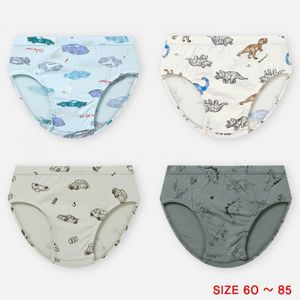 2022디노앤카삼각(4매입)