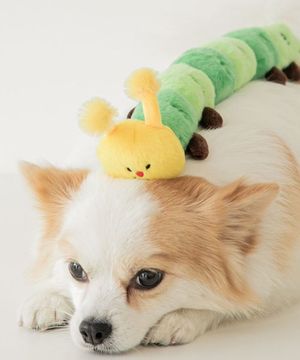 얼레벌레 애벌레 터그 강아지 장난감 (바스락/삑삑)