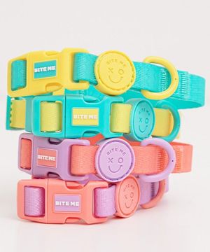 강아지 산책 방수 new XO 워터프루프 목줄 (4 color)