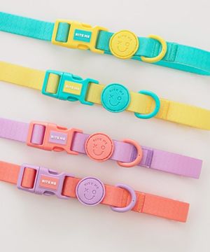 강아지 산책 방수 new XO 워터프루프 핸즈프리 리쉬 (4 color)