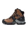 2684186
