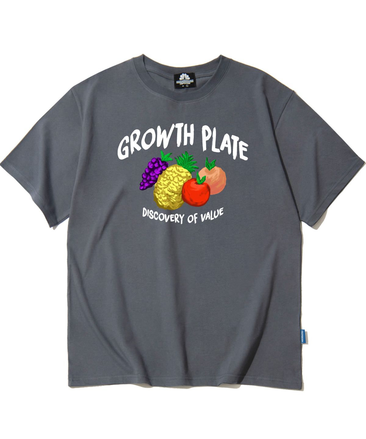 트립션(TRIPSHION) GROWTH PLATE FRUITS GRAPHIC 티셔츠 - 그레이