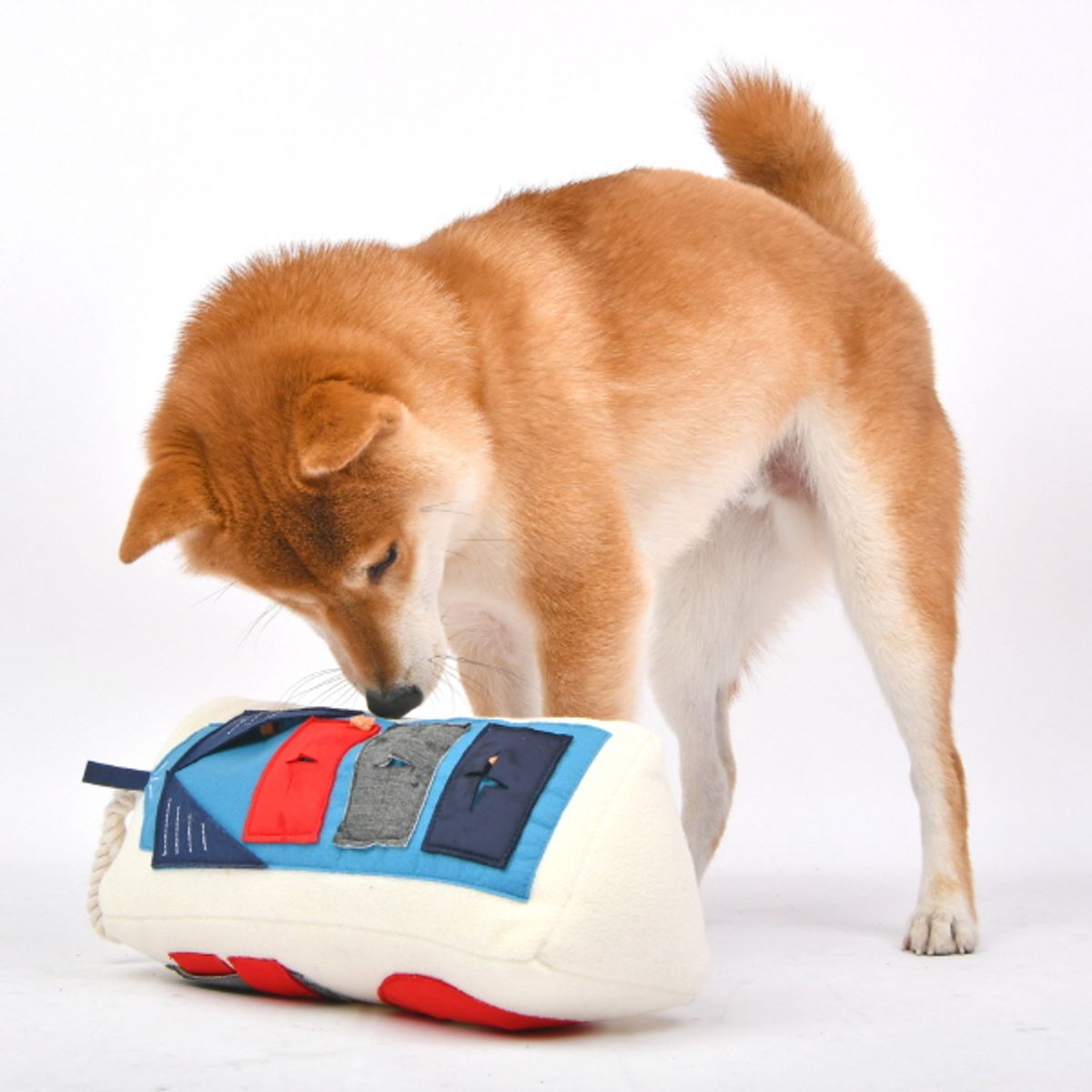 퍼피아(PUPPIA) 빌딩 토이 노즈워크 장난감