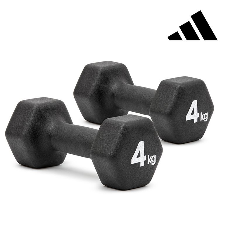 육각 덤벨 4kg 세트