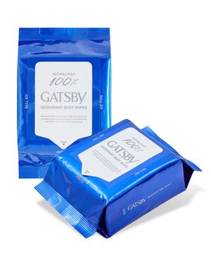 아이스 데오도란트 바디 페이퍼 아이스 시트러스 대용량 30매 2개