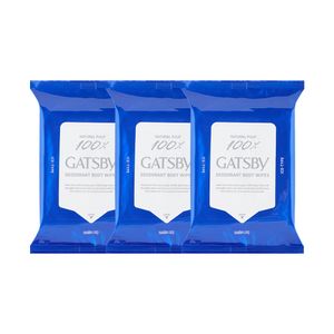 아이스 데오도란트 바디 페이퍼 아이스 시트러스 10매 3개