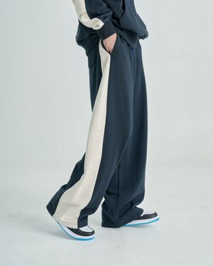 Reverse Pleat Wide Pants (Navy)