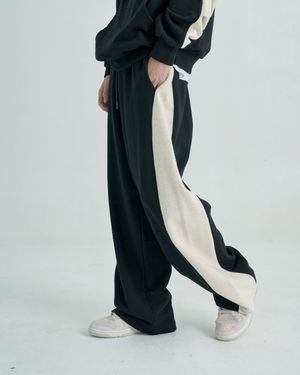 Reverse Pleat Wide Pants (Black)
