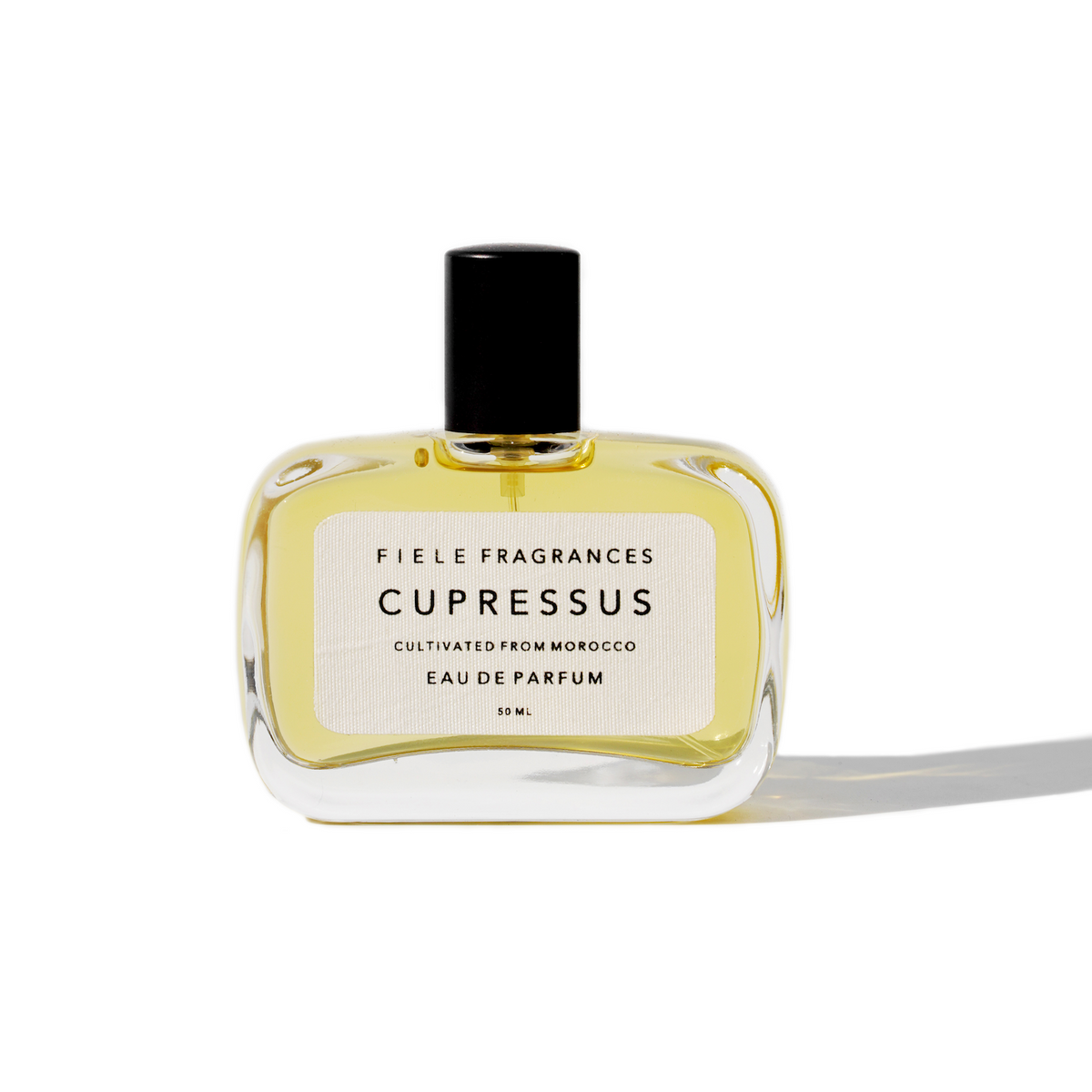 피에르 프래그런스(FIELE FRAGRANCES) Cupressus 50ml EDP