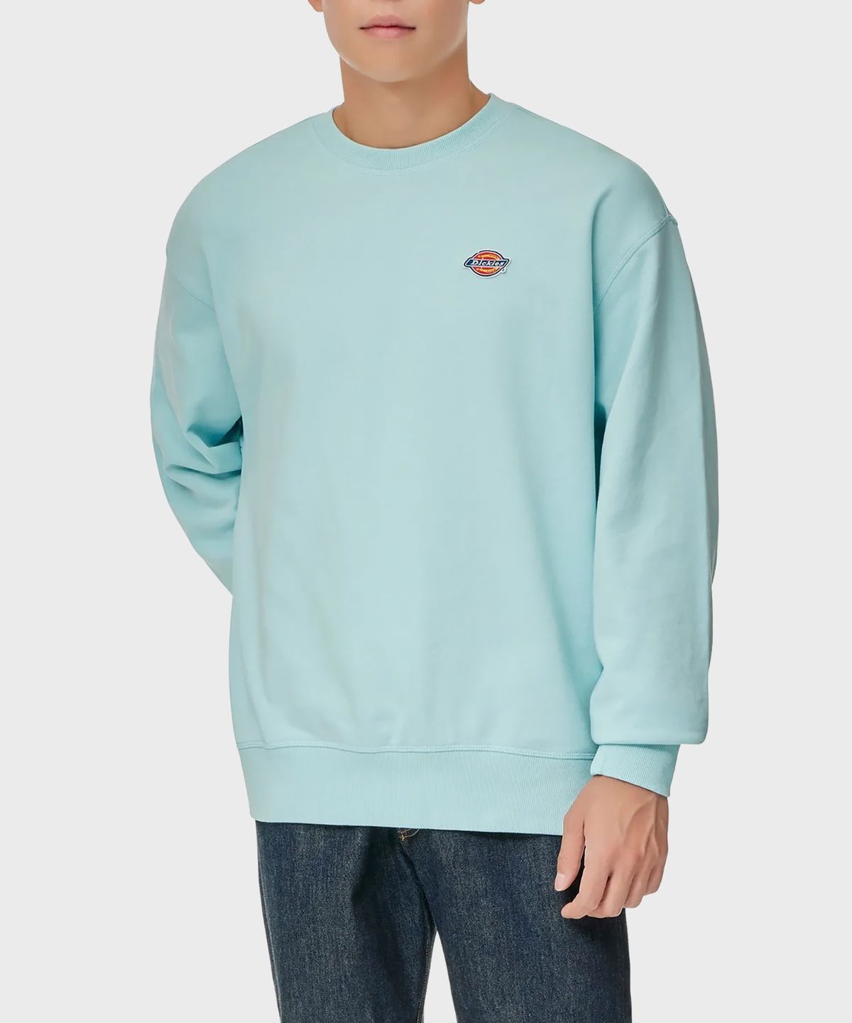 디키즈(DICKIES) 프렌치 테리 릴렉스드 스몰 자수 로고 크루넥 Iced Aqua