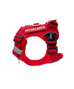 인터라켄 커스텀 강아지 하네스