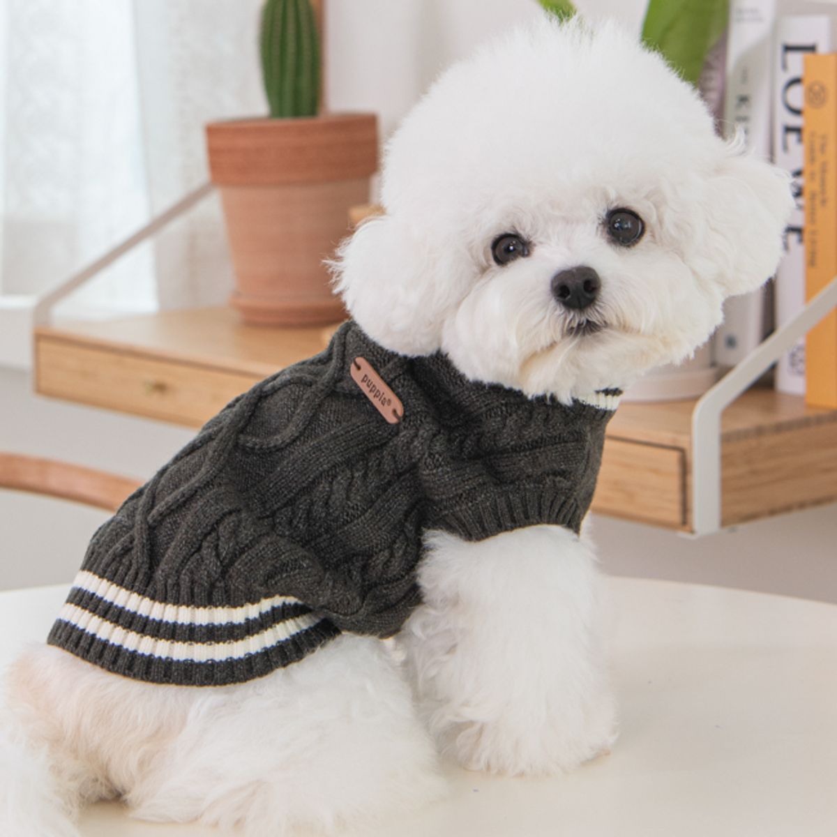 퍼피아(PUPPIA) 브이넥 니트 (PAWD-TS6490)