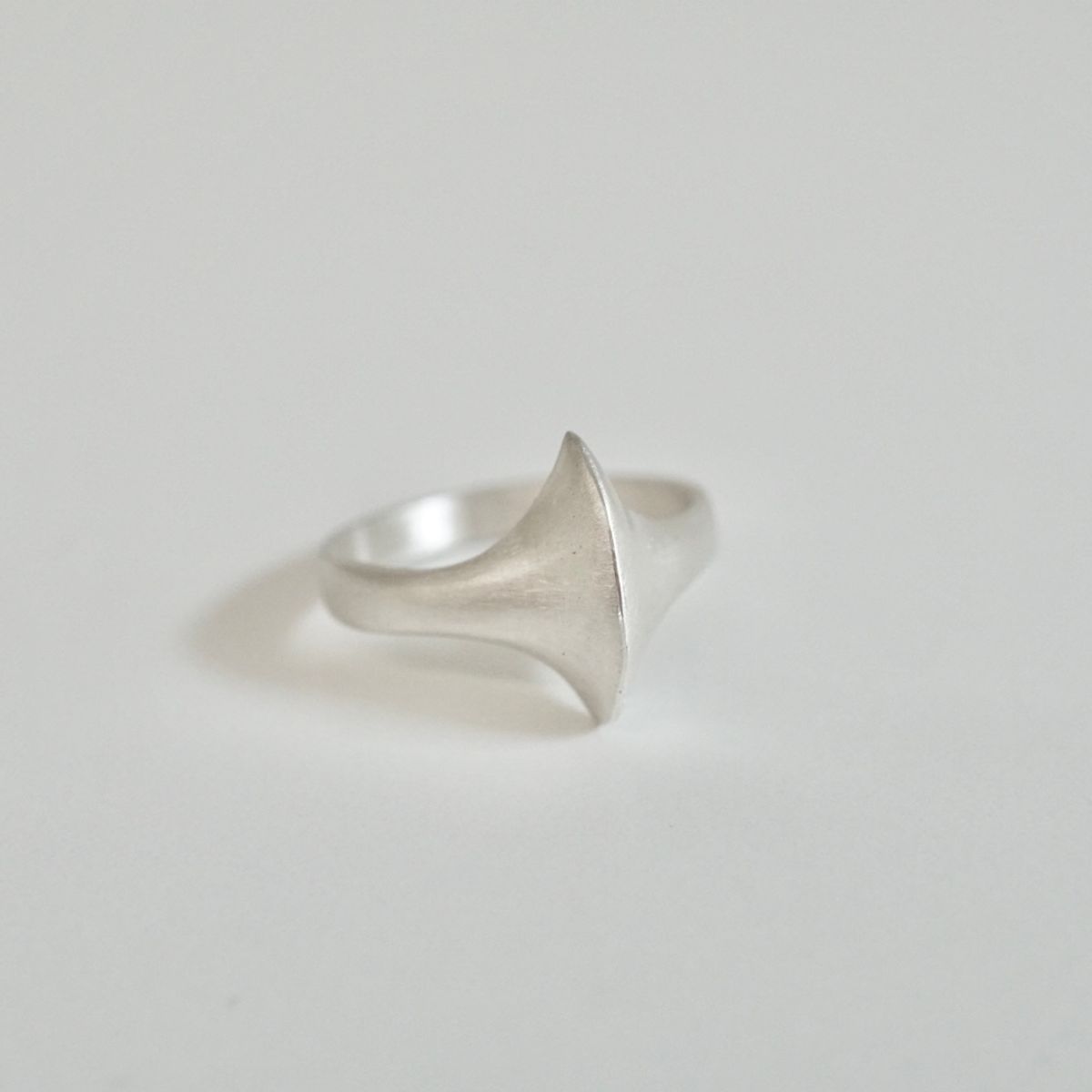 백액트실버(VACACTSILVER) double one pointed ring - 후기 | 무신사