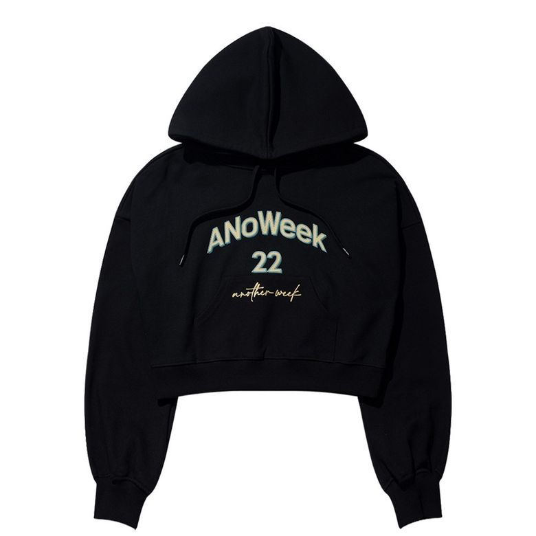 ANW EMBROIDERY CROPPED HOODIE