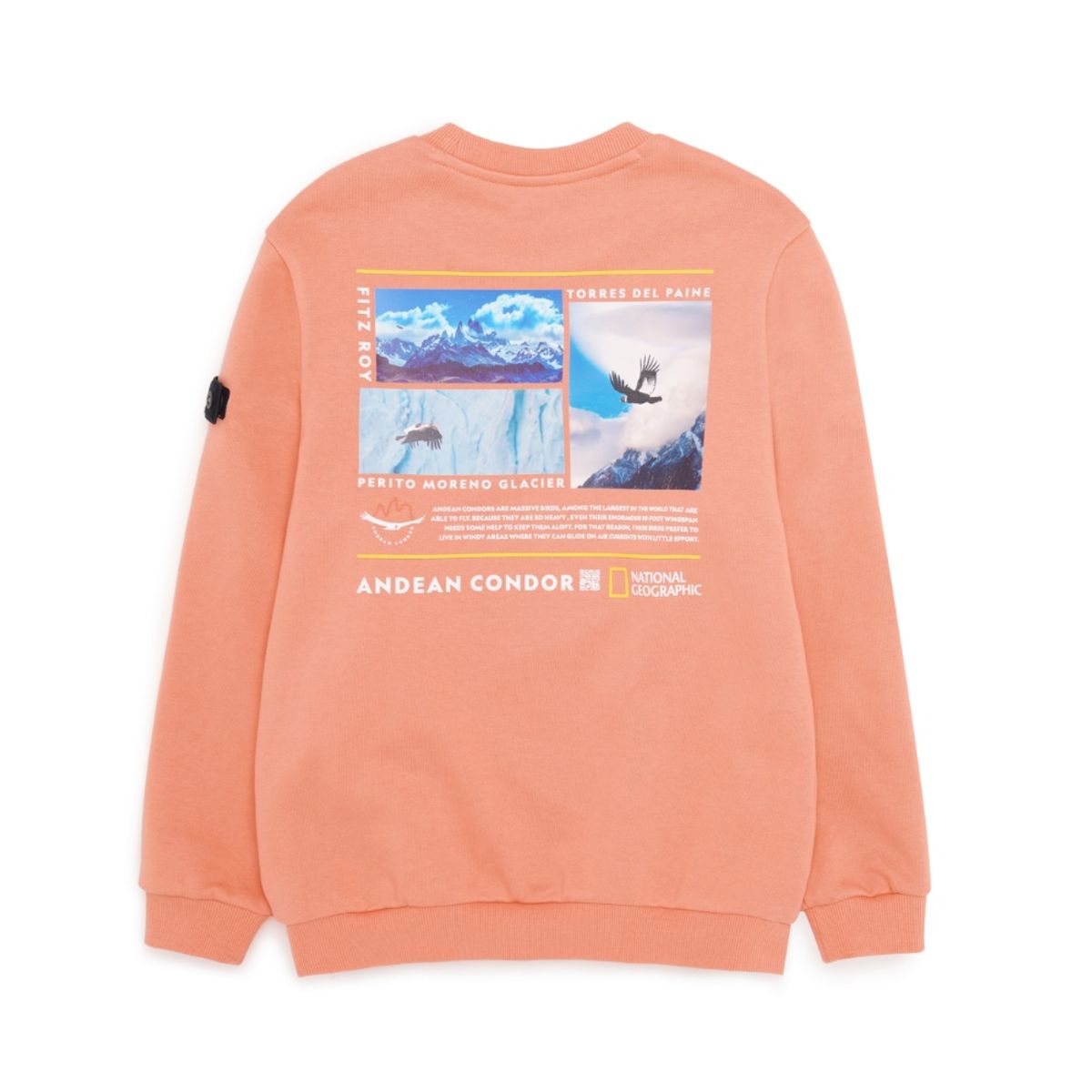 내셔널지오그래픽 키즈(NATIONAL GEOGRAPHIC KIDS) K224USW940 컨셉 그래픽 맨투맨 티셔츠 S ORANGE