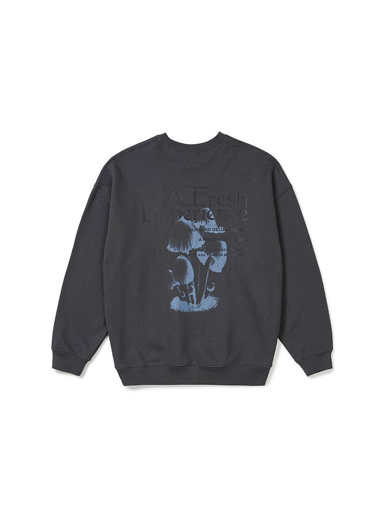 Fresh Experience Sweatshirts Charcoal