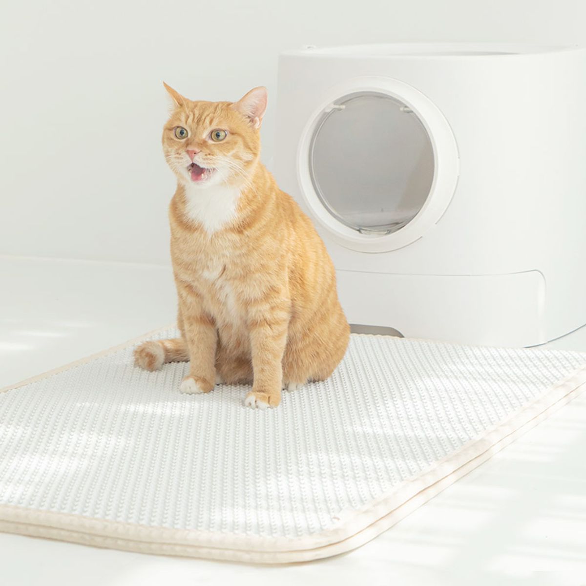펫트리움(PETRIUM) 고양이 사막화방지 뽀송매트