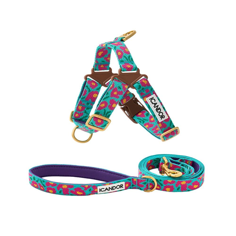 【ICANDOR】No-Pull Harness_BIG FISH〜ハーネス★Stress-Free MUSINSA | iCANDOR set no-pull harness + gentle leash big