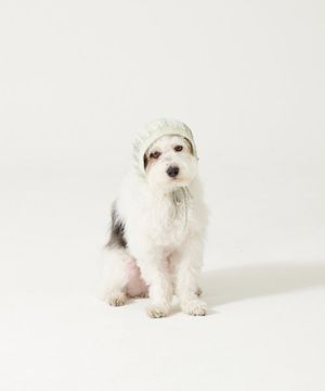 FISHNET MINI BONNET - GREEN