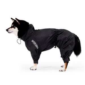 인터라켄  강아지 바람막이