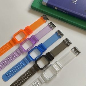 애플워치 스포츠 스트랩 6번 클리어밴드