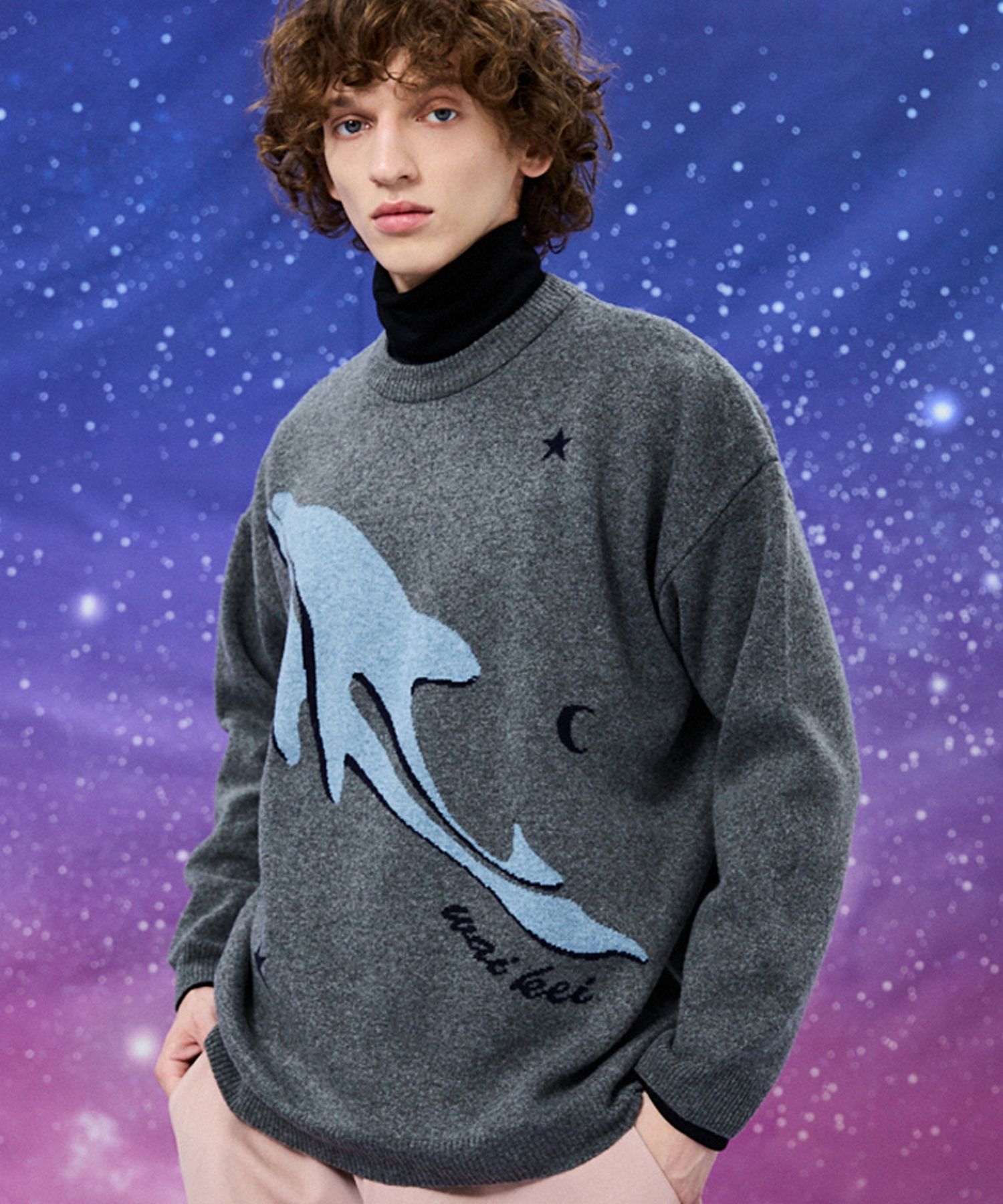さらに100円引き◆Wai Kei◆Dolphin universe crew neck knit MUSINSA | WAI KEI Dolphin Universe crew neck Knit Sweater gray