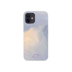 Wind hard case