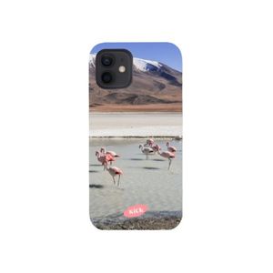 Flamingo space hard case