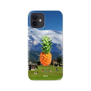 Pineapple house hard case