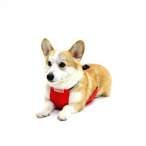 시그니처 로고 서플렉스커버 - 레드