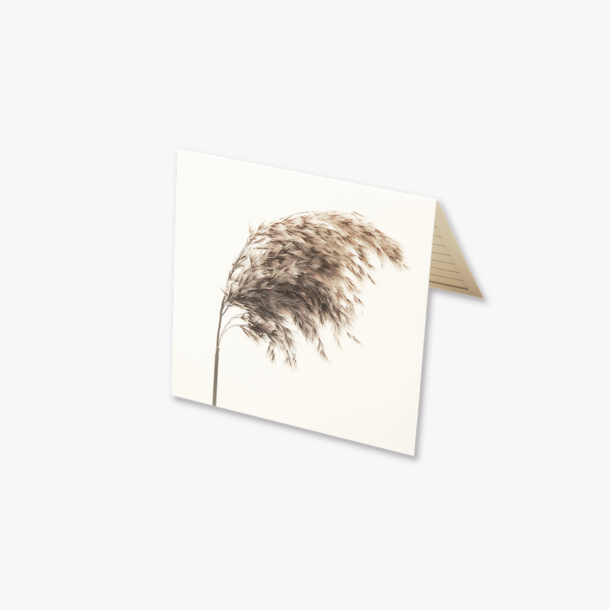 글월(GEULWOLL) Flower CardㅣReed