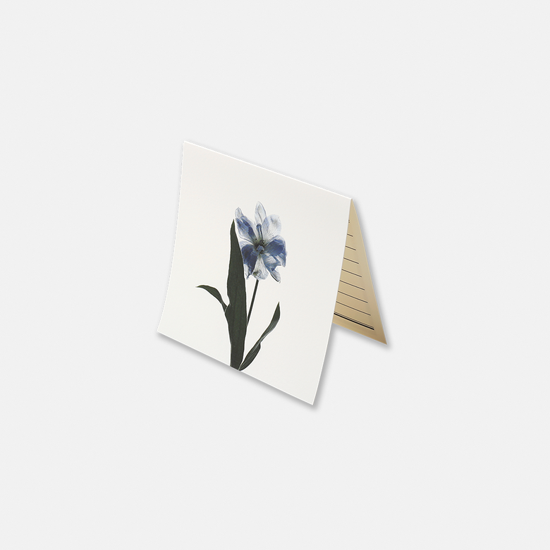Flower CardㅣDelphinium