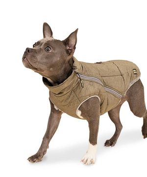 인터라켄 히트세이버 강아지 패딩 조끼