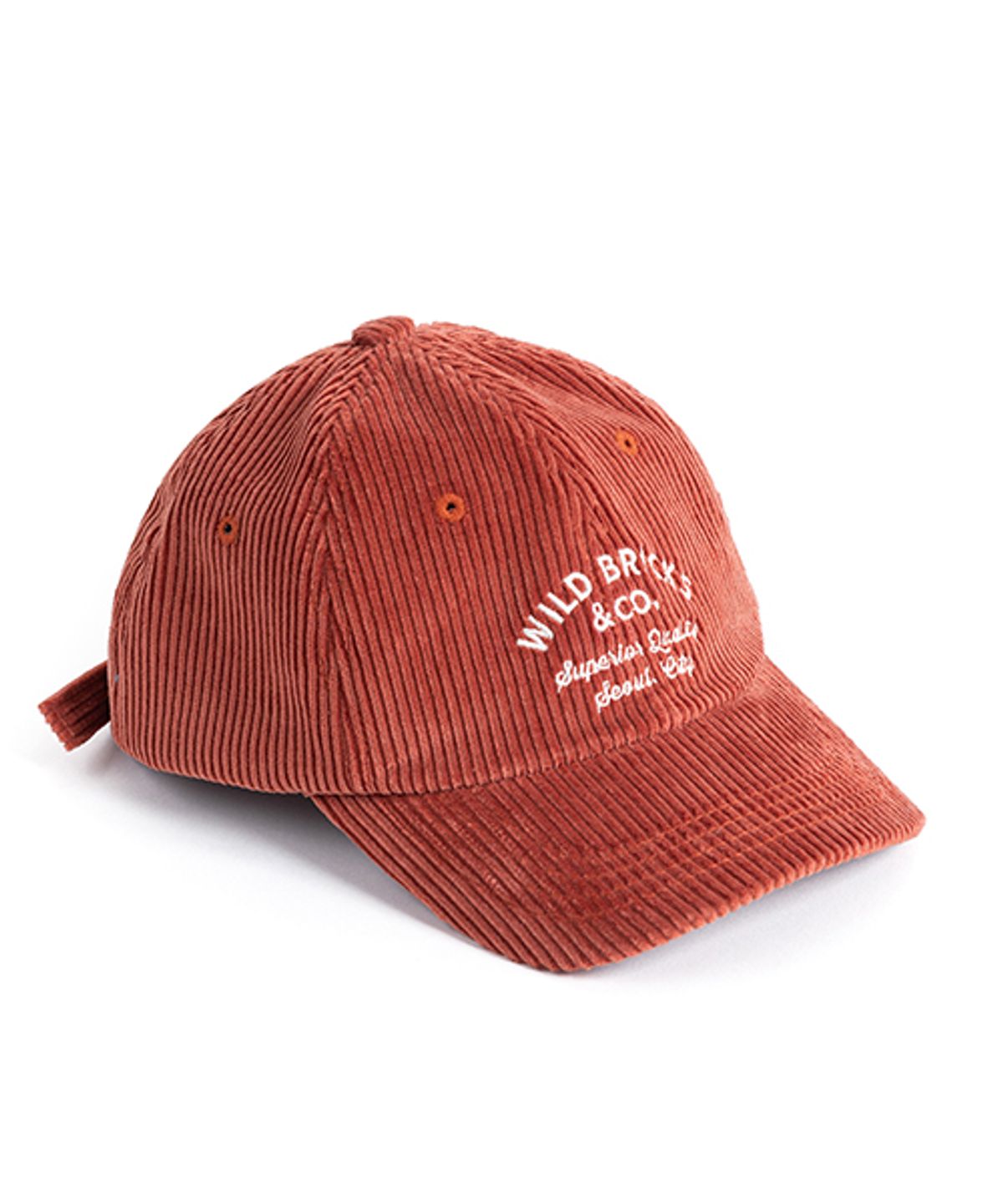 와일드 브릭스(WILD BRICKS) CD CLASSIC LOGO CAP (red)