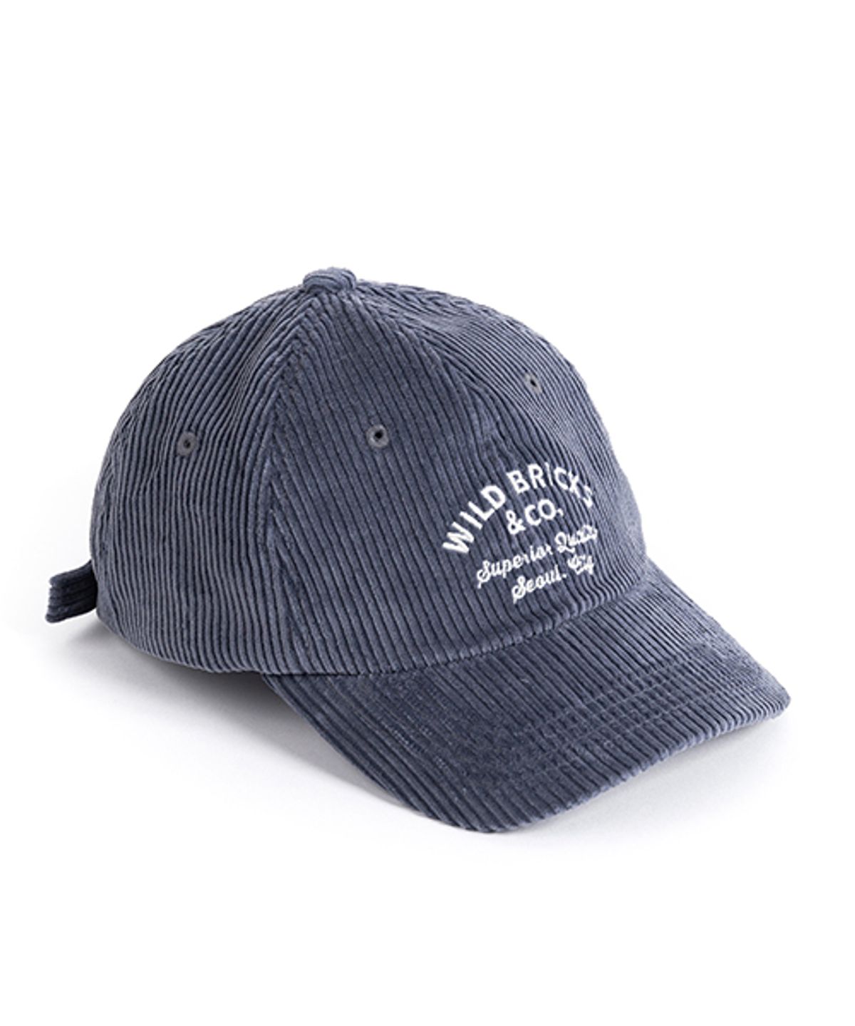 와일드 브릭스(WILD BRICKS) CD CLASSIC LOGO CAP (blue)