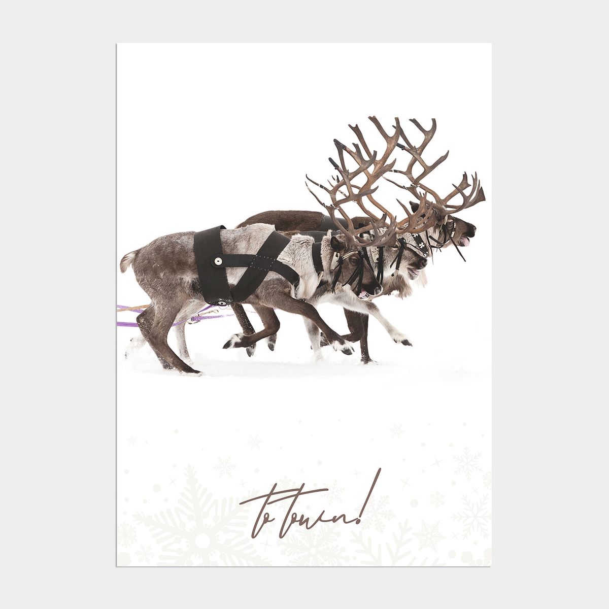 멜팅스튜디오(MELTING STUDIO) 조이 윈터 크리스마스 인테리어 포스터 / 66 Santa Claus Sleigh 03