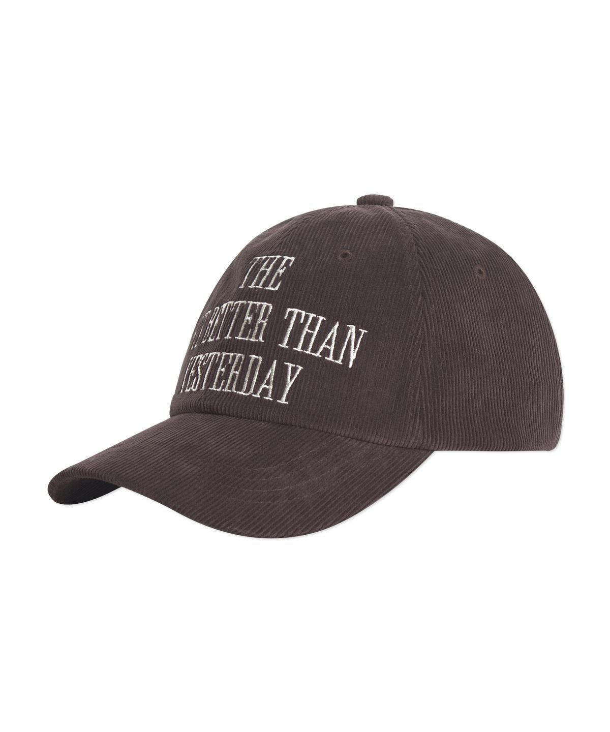 판도라핏(PANDORAFIT) Corduroy Ball Cap Brown