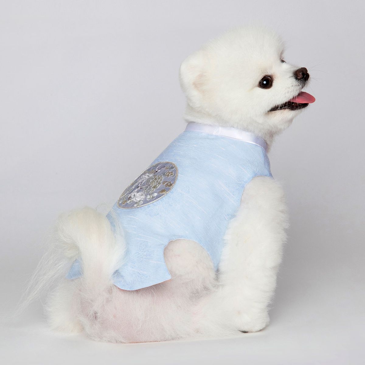 메종드독(MAISON DE DOG) 푸르내당의 강아지한복